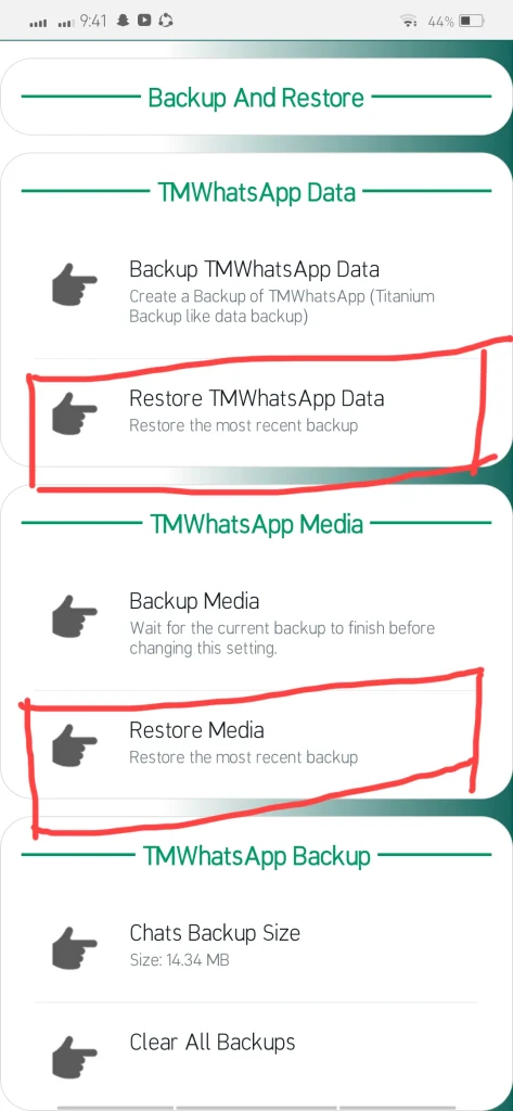 Restore TMWhatsApp Data