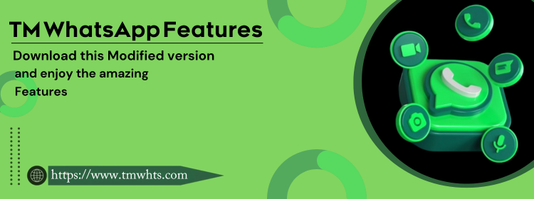 TM WhatsApp Features